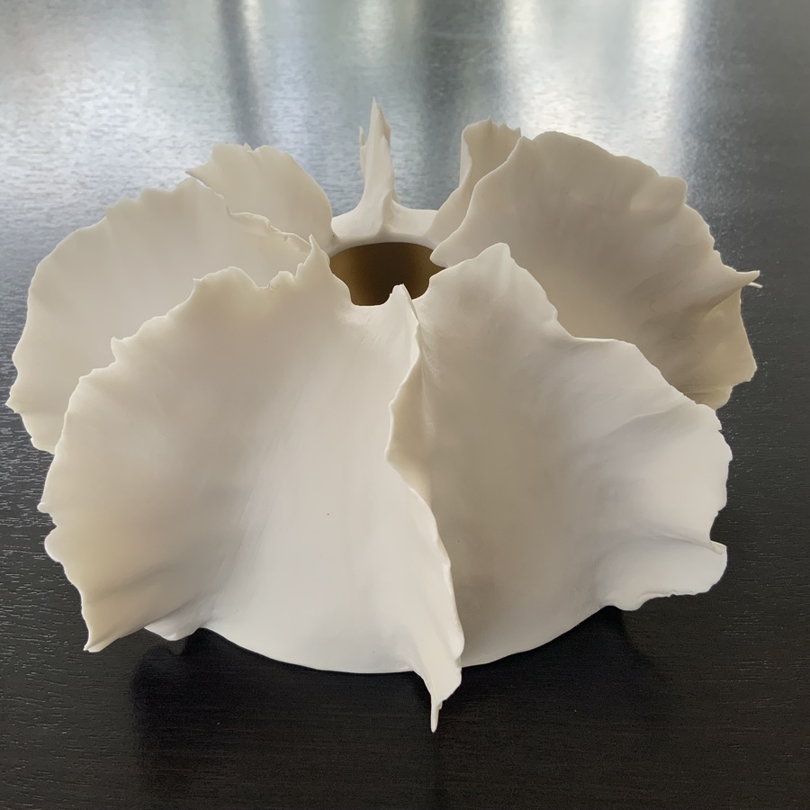 PHOTOPHORES « MARE »