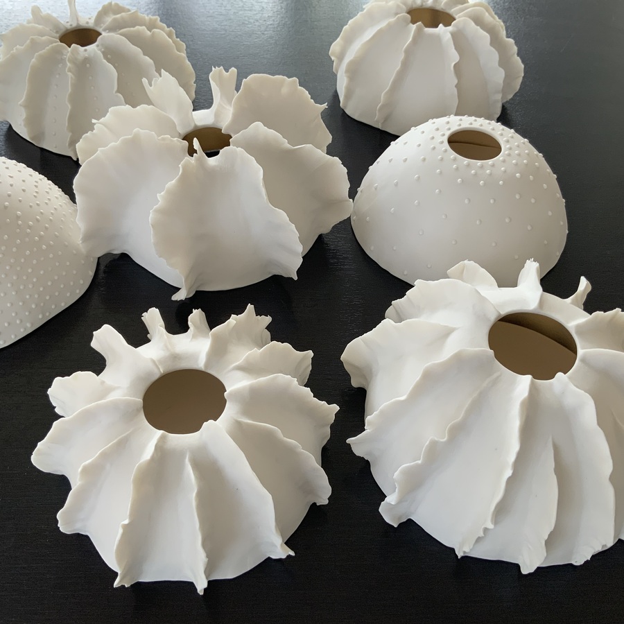 PHOTOPHORES « MARE »