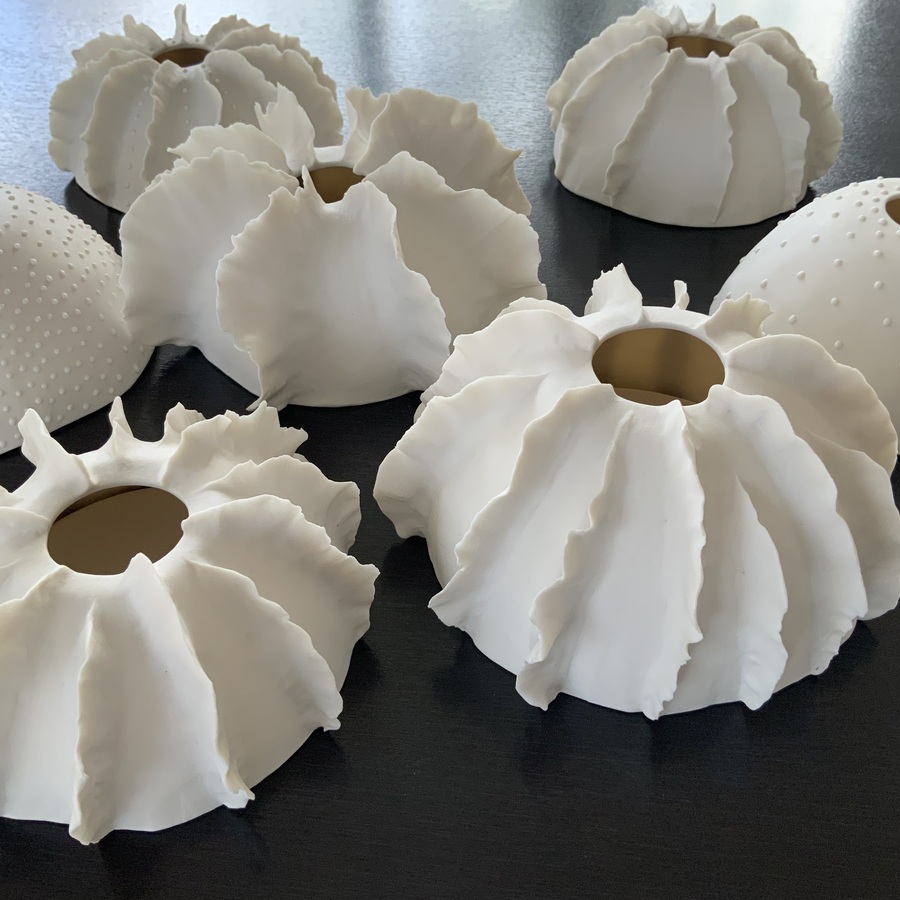 PHOTOPHORES « MARE »